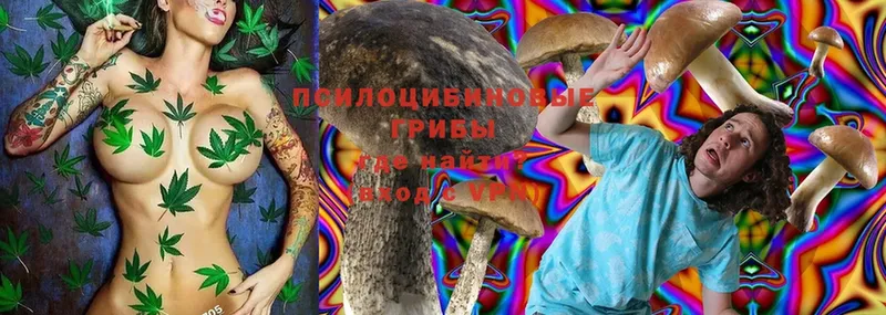 Галлюциногенные грибы Magic Shrooms  как найти закладки  Сыктывкар 